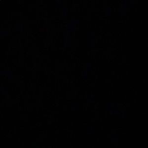 Meet your Posher, Gianna